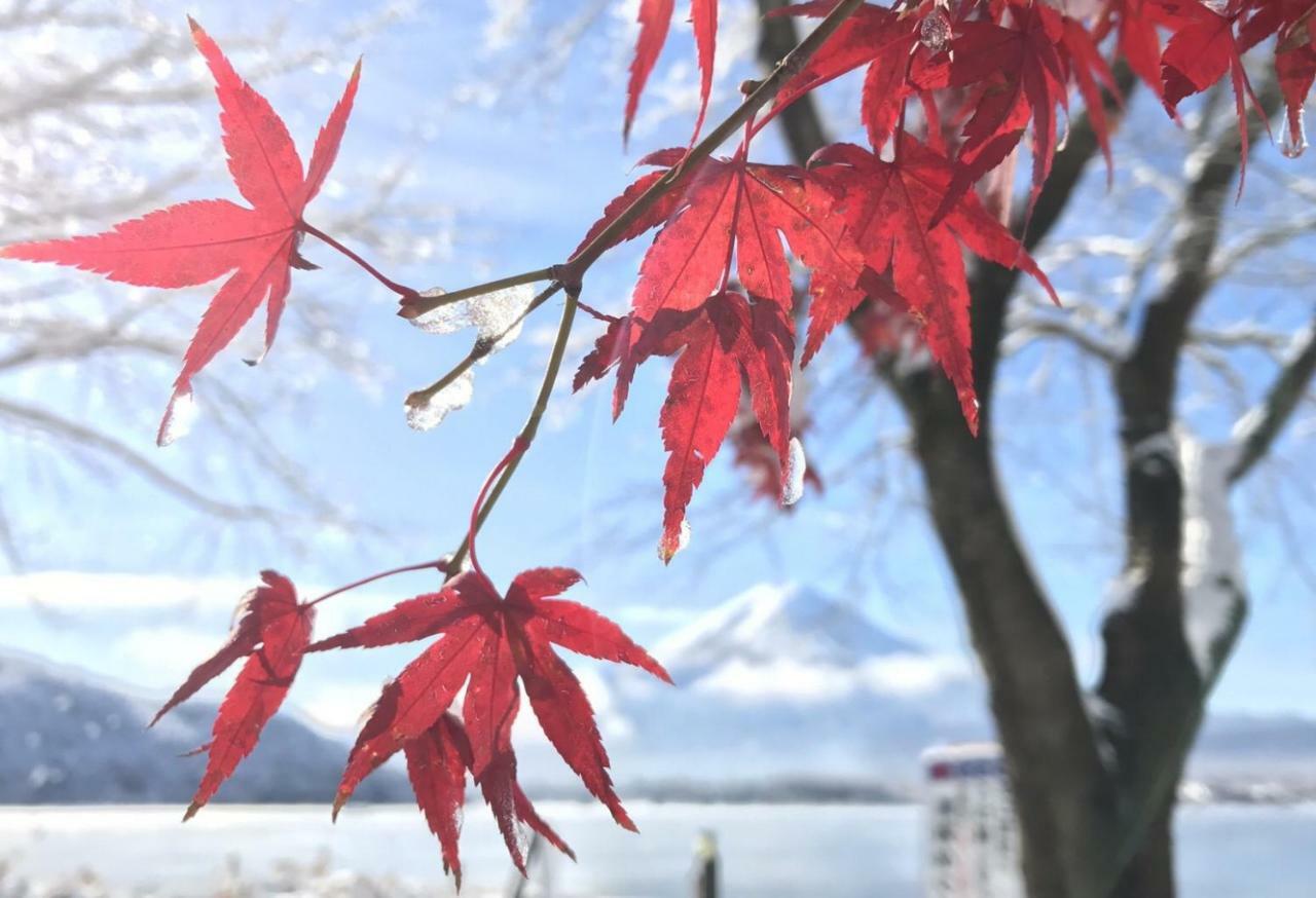 Habitacion Niiya Mt Fuji 후지카와구치코 외부 사진
